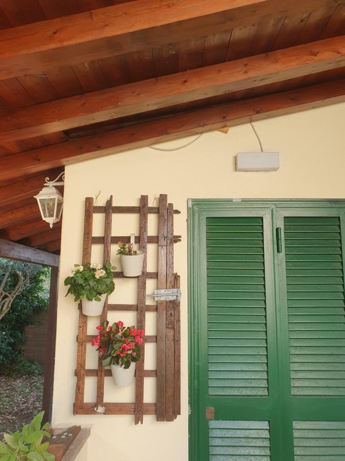 Andrea'S House Villa Fiumicino Eksteriør bilde