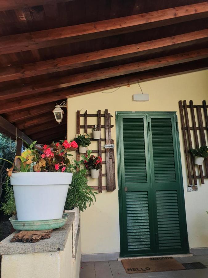 Andrea'S House Villa Fiumicino Eksteriør bilde